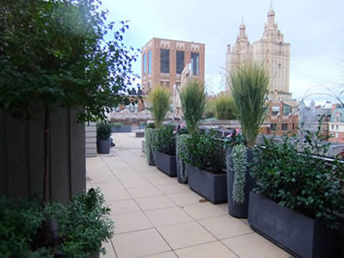Manhattan Rooftop Terrace Tall grasses 